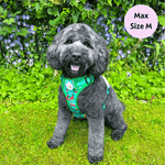 Bark Ranger - Adventure No Pull Harness