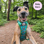 Bark Ranger - Adventure No Pull Harness