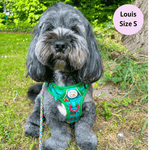 Bark Ranger - Adventure No Pull Harness