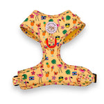 Club Pupicana - No Pull Adjustable Dog Harness