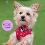 Hairy Pawter - No Pull Adjustable Dog Harness