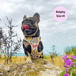 Hot Dawg - Adventure No Pull Harness