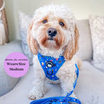Howl-lywood - No Pull Adjustable Dog Harness