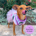Load image into Gallery viewer, Sweet as Can Bee - No Pull Adjustable Dog Harness