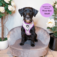 Load image into Gallery viewer, Sweet as Can Bee - No Pull Adjustable Dog Harness