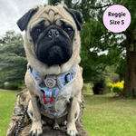 Woofsday - Adventure No Pull Harness