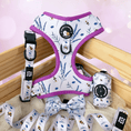 Load image into Gallery viewer, Sweet as Can Bee - No Pull Adjustable Dog Harness