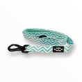 Load image into Gallery viewer, Zig Zag Wag Leash - Pastel Green