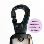 Zig Zag Wag Leash - Pastel Green