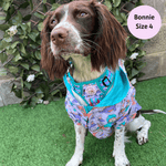 Doggosaurus Rex Reversible Dog Raincoat