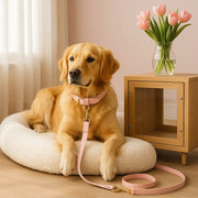 Golden retriever resting on orthopedic dog bed wearing a blush-pink Italian leather collar and leash showing how to choose comfortable dog accessories