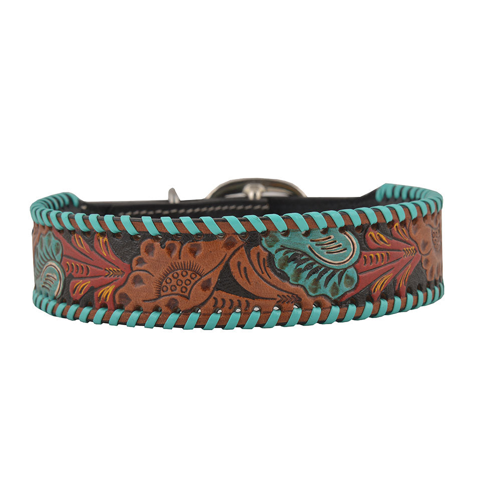 How to Choose the Right Pet Collar: A Complete Guide