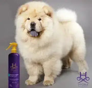 Fluffy white Chow Chow dog next to Hydra pet grooming spray showing benefits of regular dog grooming
