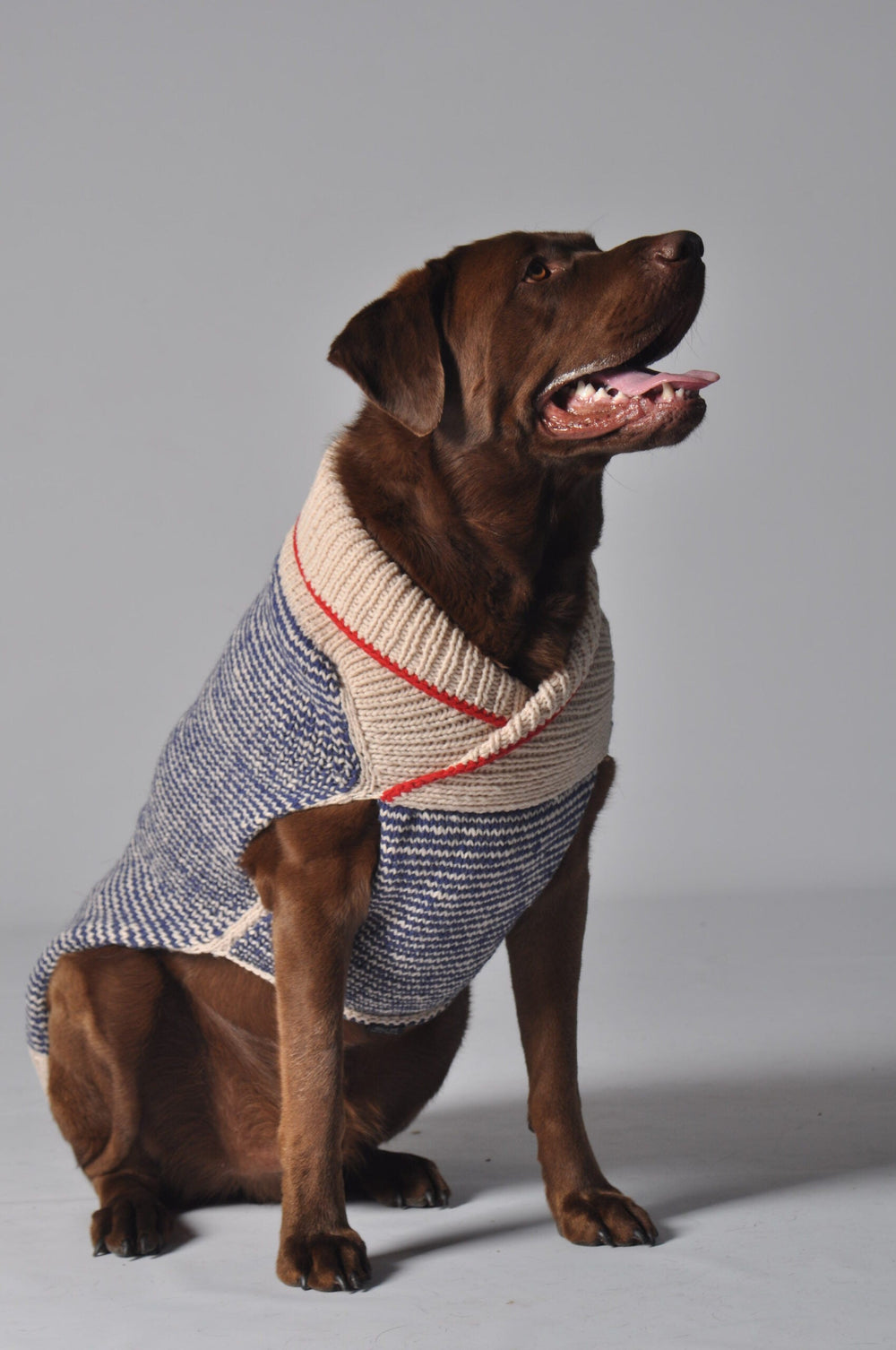 Chilly Dog sweaters and coats at Southlake Paws