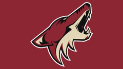 Arizona Coyotes NHL dog jerseys and pet fan gear – official team logo