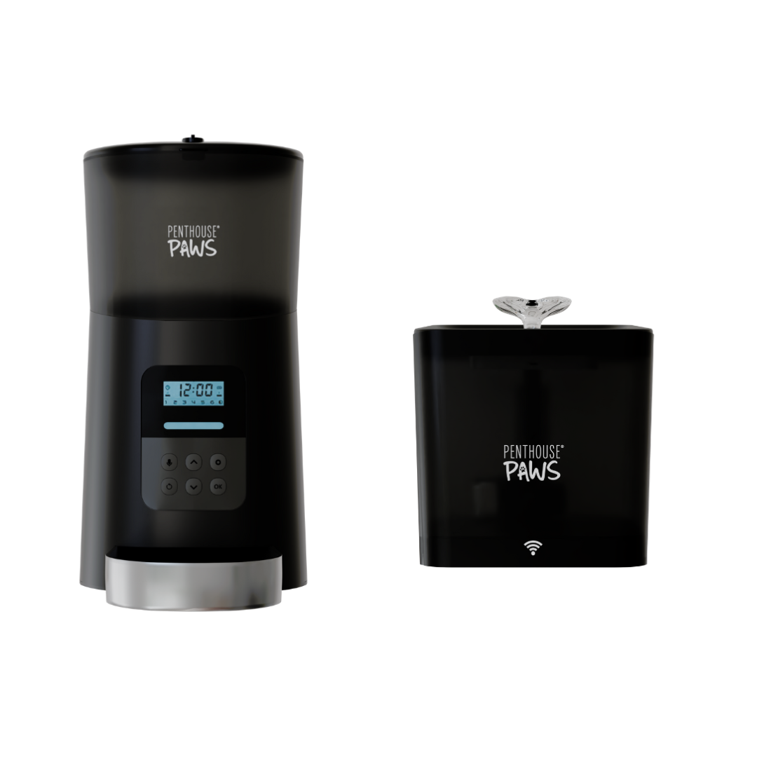 Shop Automatic Pet Feeder | Penthouse