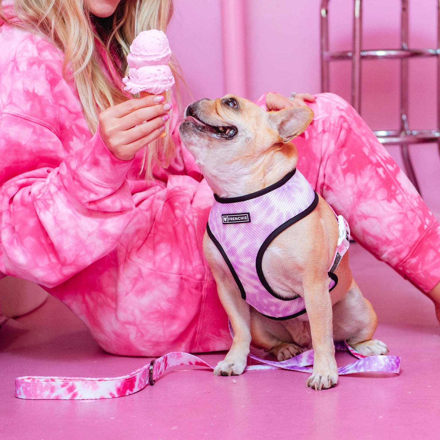 Dog Harnesses