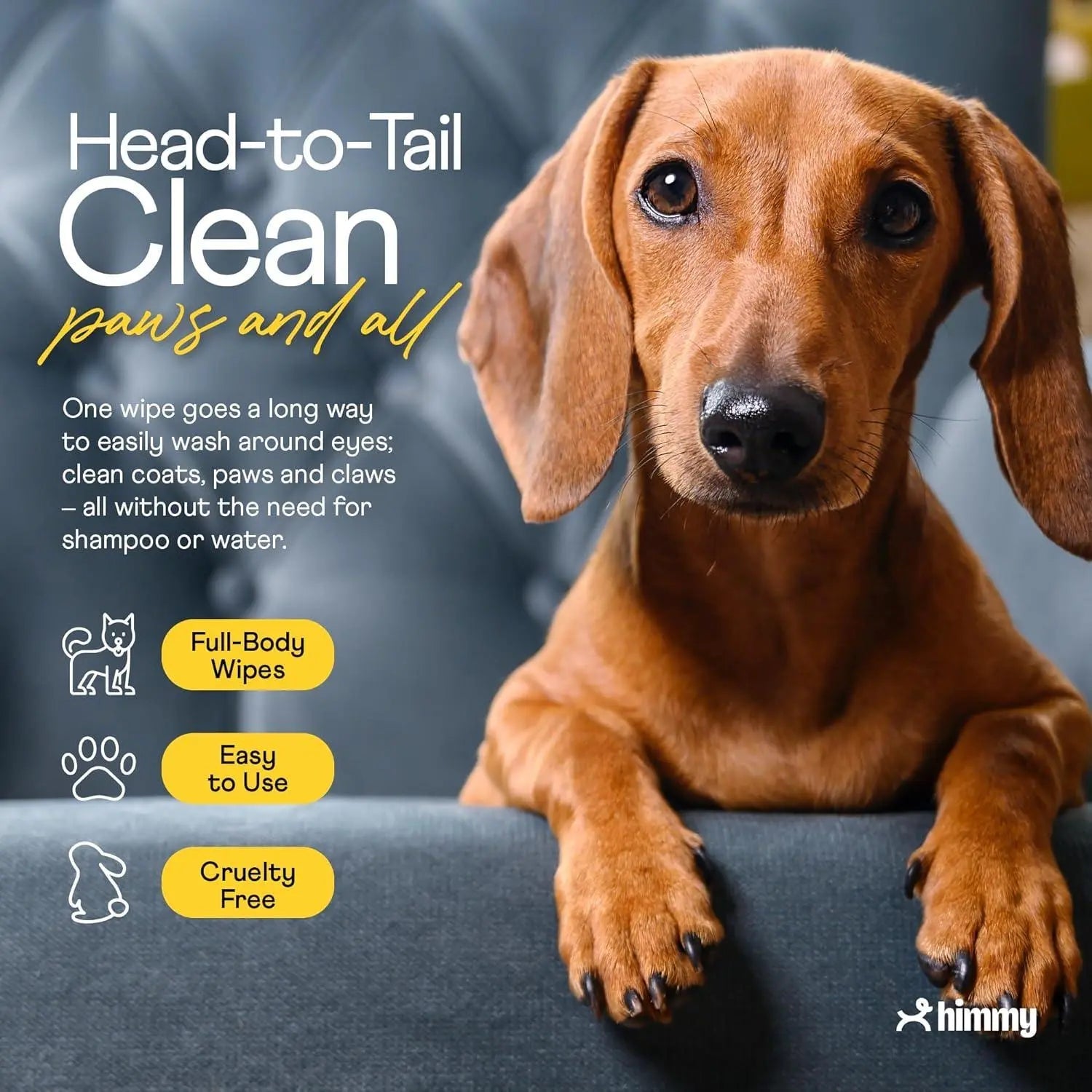 Pet Cleaning Wipes & Towels