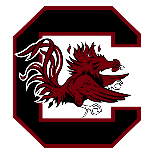 College South Carolina Gamecocks