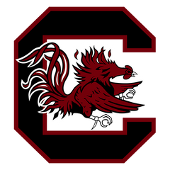 south carolina gamecocks team logo