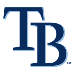 Tampa Bay Rays MLB dog jerseys and pet fan gear – official team logo