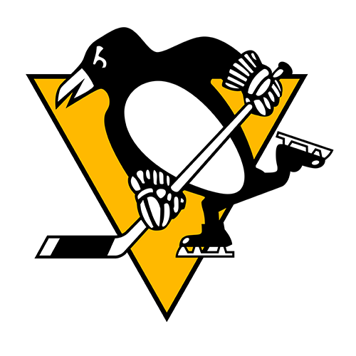 NHL Pittsburgh Penguins