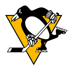 Pittsburgh Penguins NHL dog jerseys and pet fan gear – official team logo
