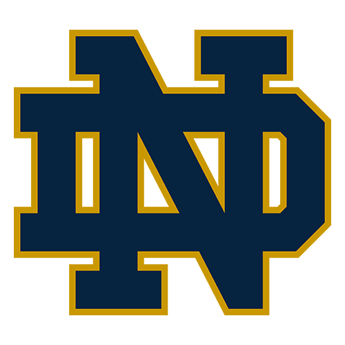 College Notre Dame Fighting Irish