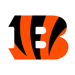 Cincinnati Bengals NFL dog jerseys and pet fan gear – official team logo