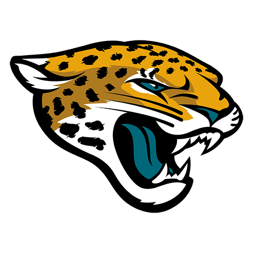 NFL Jacksonville Jaguars