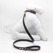Lilac Desert Dog Leash