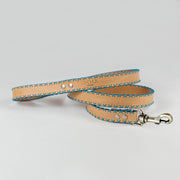 Sky Blue Cross Dog Leash