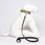 Patent Leather Psychedelic Dog Leash