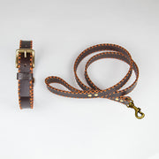 Orange Cross Dog Leash