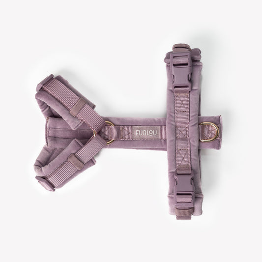 Lilac - Velvet Dog Harness 