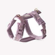 Lilac - Velvet Dog Harness 