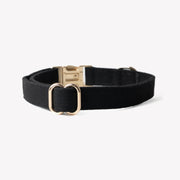 'Black' - Canvas Dog Collar 