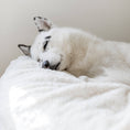 Load image into Gallery viewer, Bean Bag - Queen - Faux Fur

