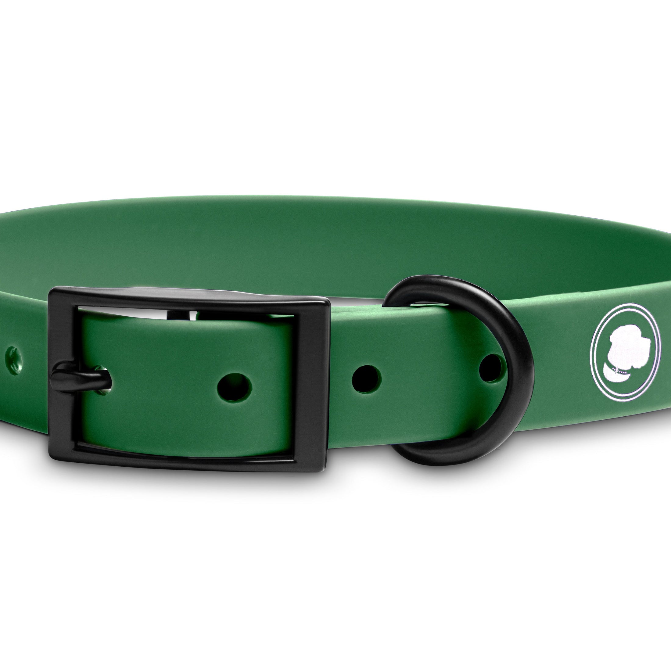 Clover Green collar by The Modern Dog Company, featuring a weather and odor-resistant design with a black buckle.