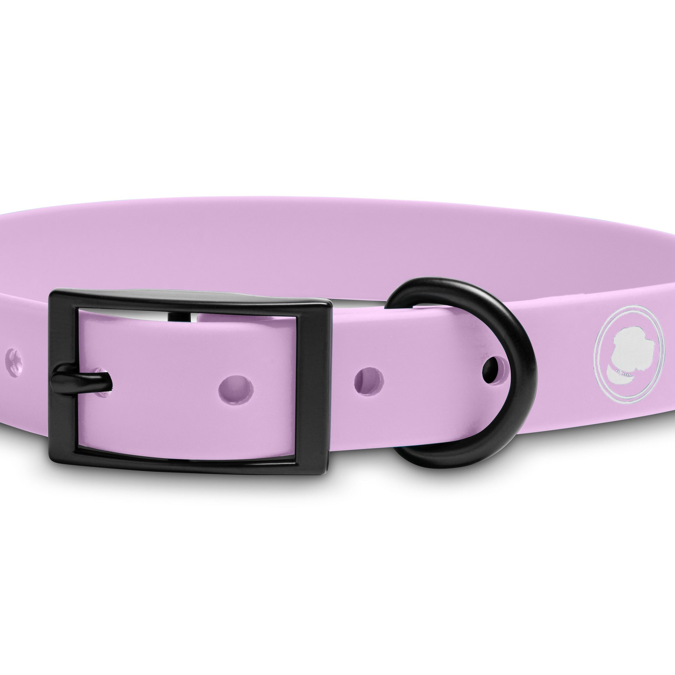 Blush pink dog collar by The Modern Dog Company, featuring a black buckle and D-ring, weather and odor resistant.