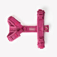 Load image into Gallery viewer, Magenta - Velvet Dog Harness 
