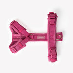 Magenta - Velvet Dog Harness 