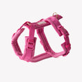 Load image into Gallery viewer, Magenta - Velvet Dog Harness 
