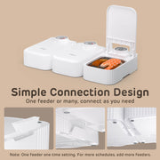 Bento Two Meal Automatic Pet Feeder with Ice Packs 