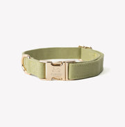 'Green' - Canvas Dog Collar 