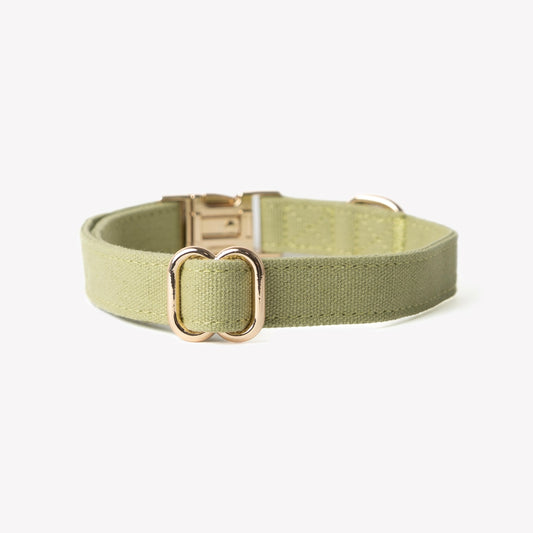 'Green' - Canvas Dog Collar 
