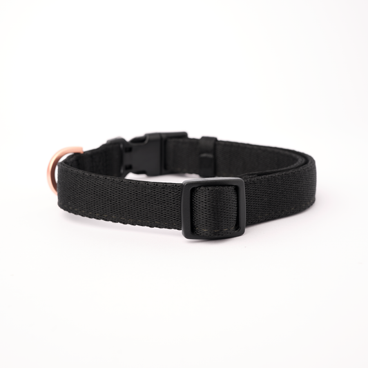 DOGISTRY City Collar - Black