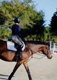 Load image into Gallery viewer, Jump Saddle Pad | White
