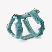 Blue - Velvet Dog Harness 