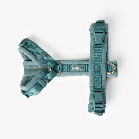 Blue - Velvet Dog Harness 